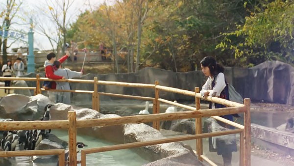 Dヒッツのcmでお一人様動物園している女性は中村映里子 キモチdjは竹野内豊 Cm曲はナオト インティライミ ペンギンカップル