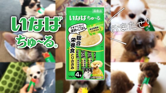 犬用いなばちゅ るワンちゅーる のcmに全国のかわいいワンちゃんたちが大集合